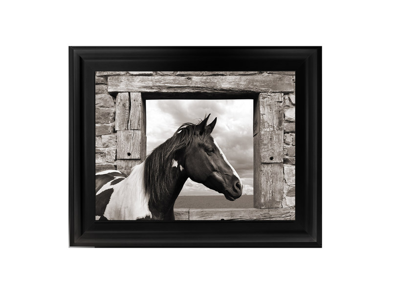 Painted Horse (BW)