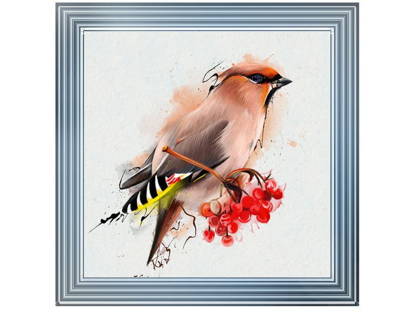 The Waxwing, a songbird of passerine.