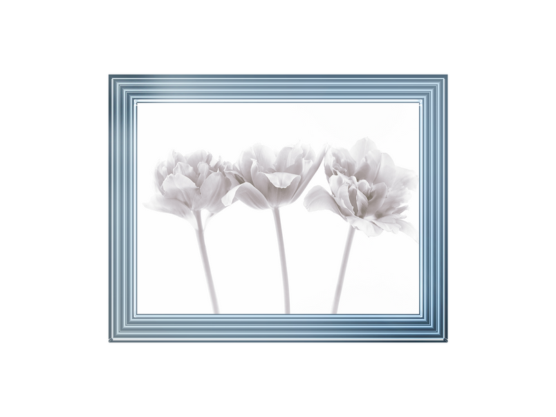 Set of 3 flowers