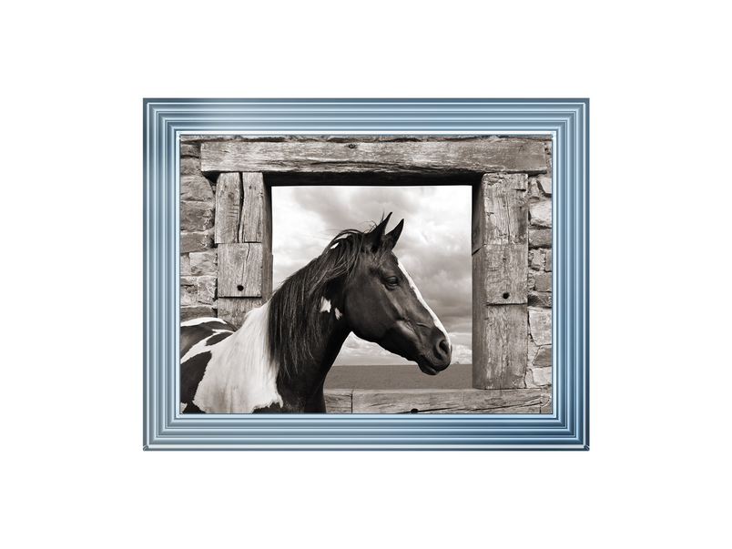 Painted Horse (BW)