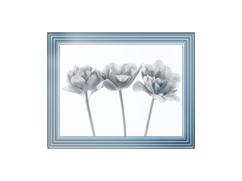 Set of 3 flowers II
