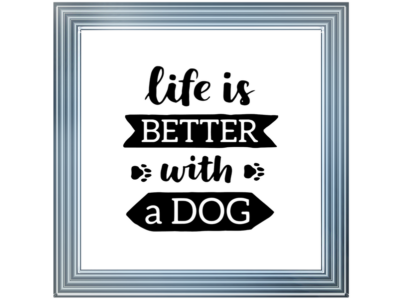 Life is better with a dog