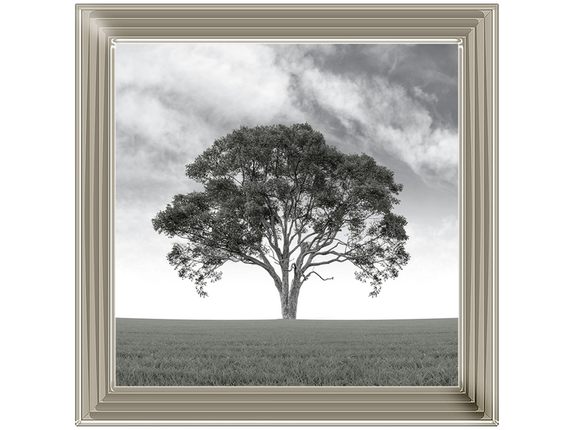 Lone Tree 1