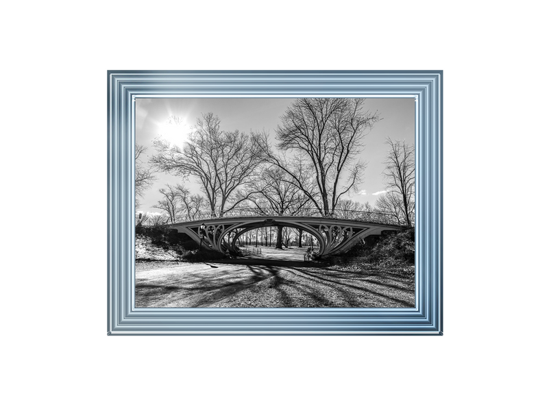 Walkway bridge in Central park, New York