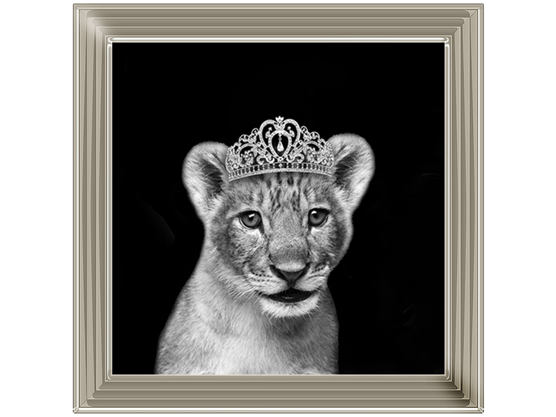 Princess Cub Silver