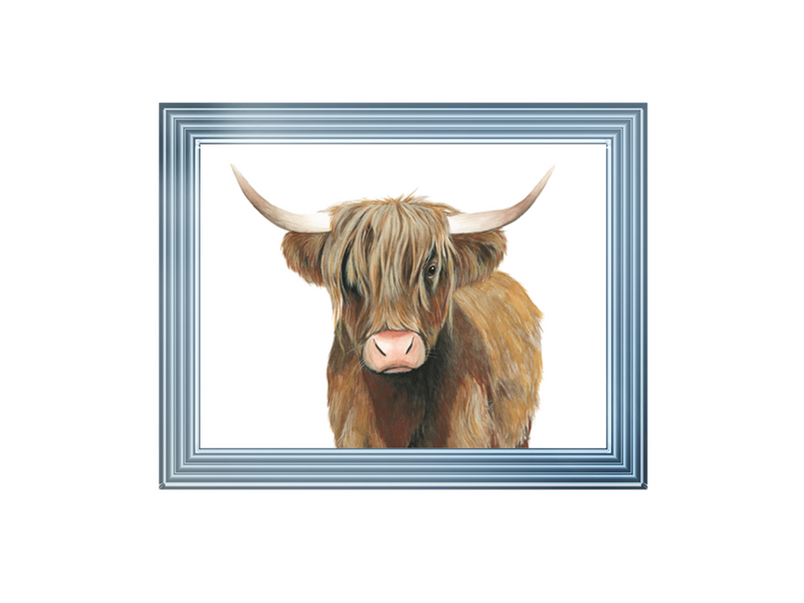 Highland Cattle II