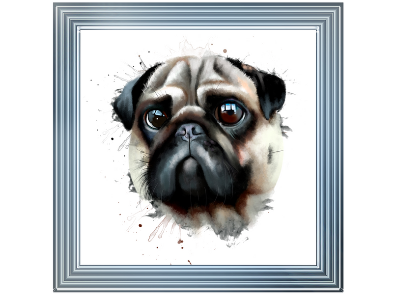 Portrait of a pug dog watercolor illustration