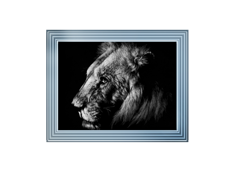 Wildlife Scratchboards I