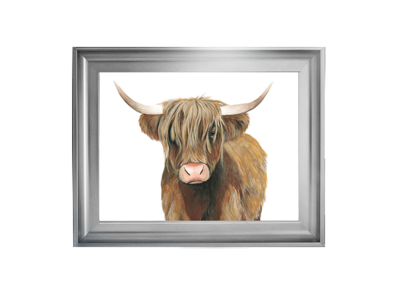 Highland Cattle II