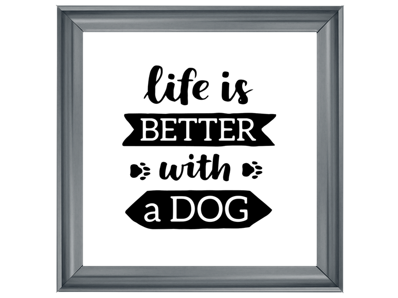 Life is better with a dog