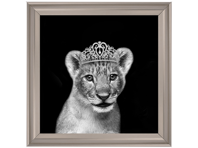 Princess Cub Silver