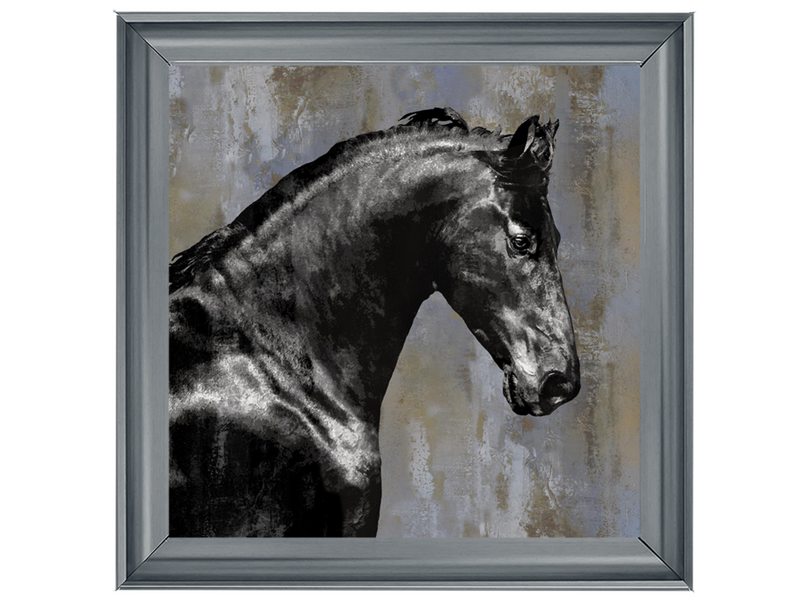 Black Stallion by Martin Rose