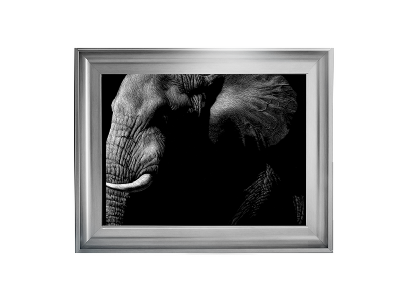 Wildlife Scratchboards III