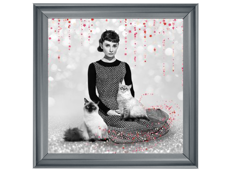 Audrey and cats