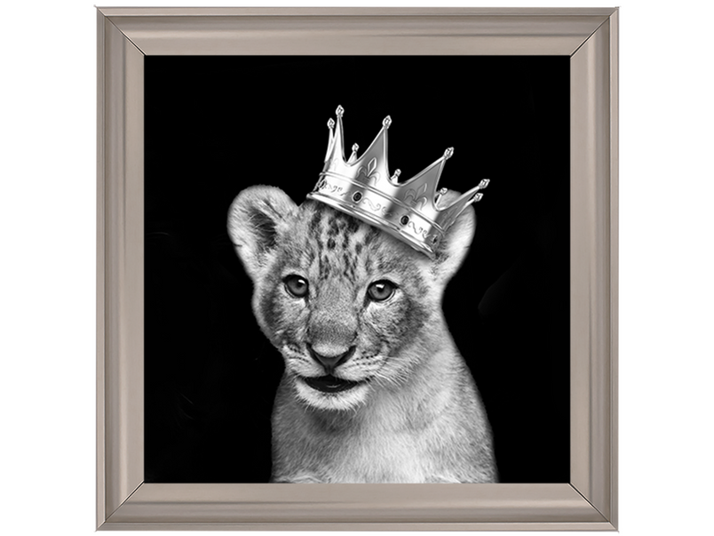 Prince Cub Silver