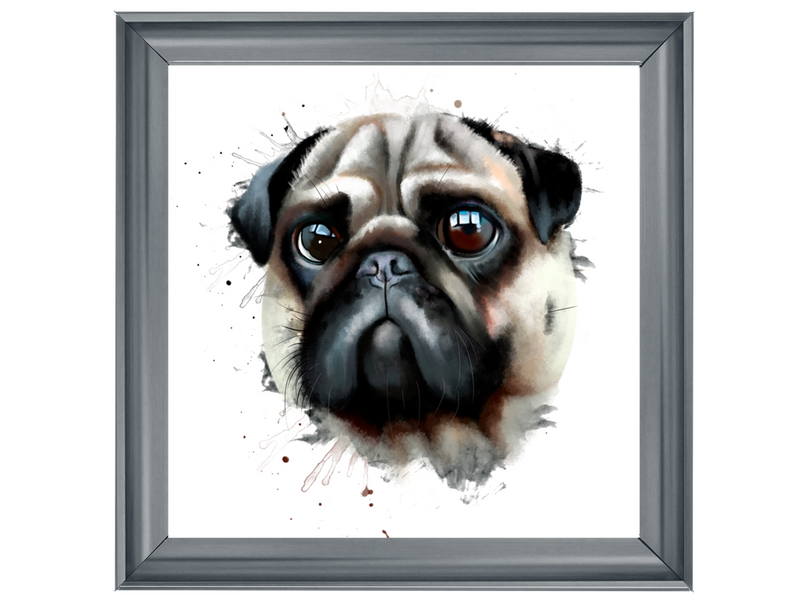 Portrait of a pug dog watercolor illustration