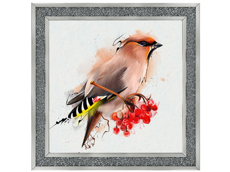 The Waxwing, a songbird of passerine.