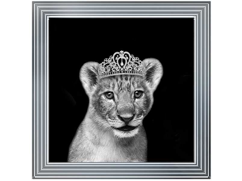 Princess Cub Silver