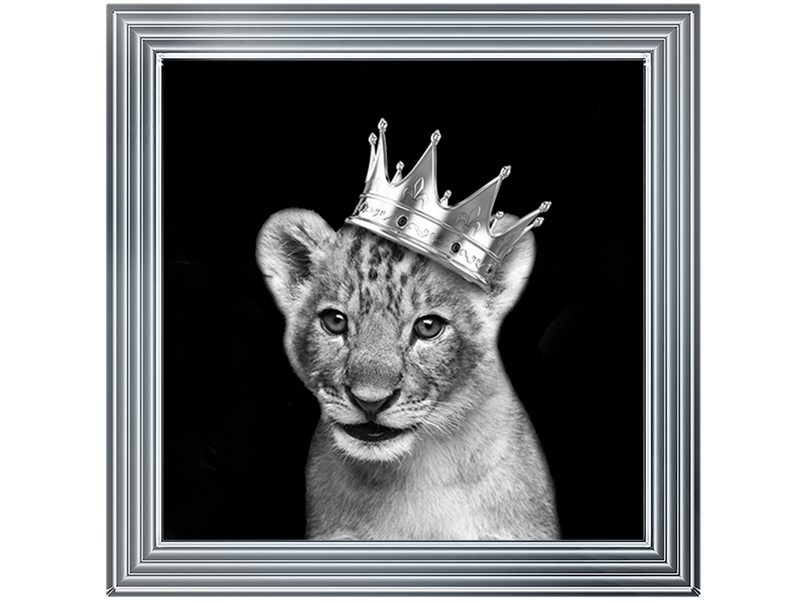 Prince Cub Silver