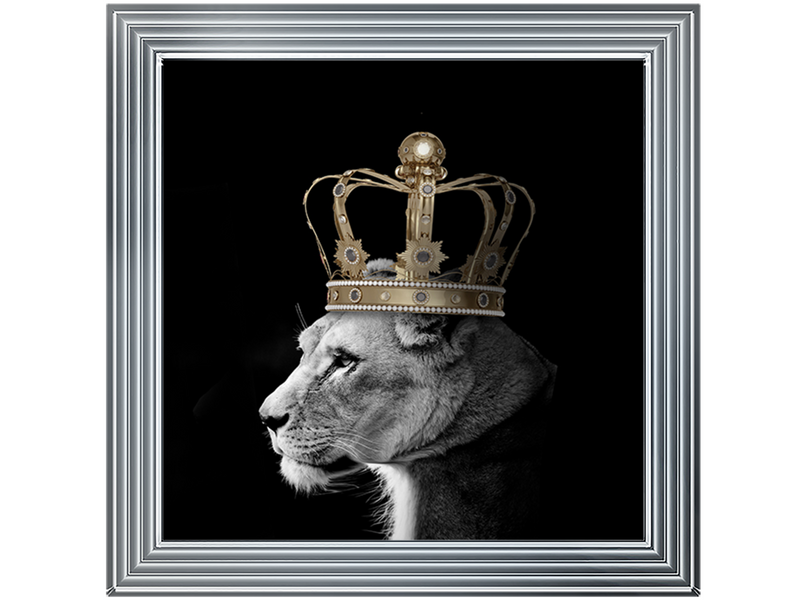 Queen Lion Gold