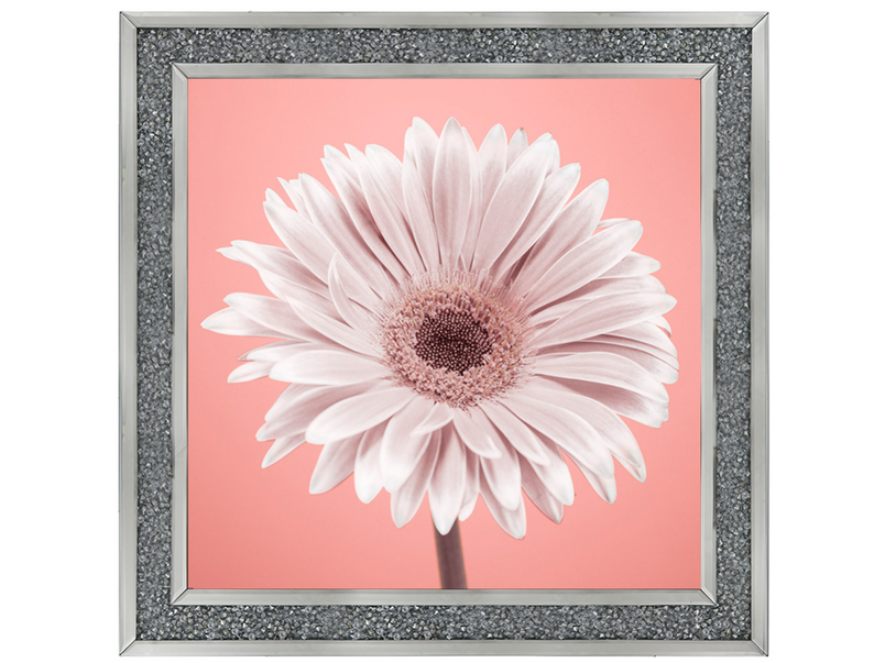 Single Gerbera Nude pink 1