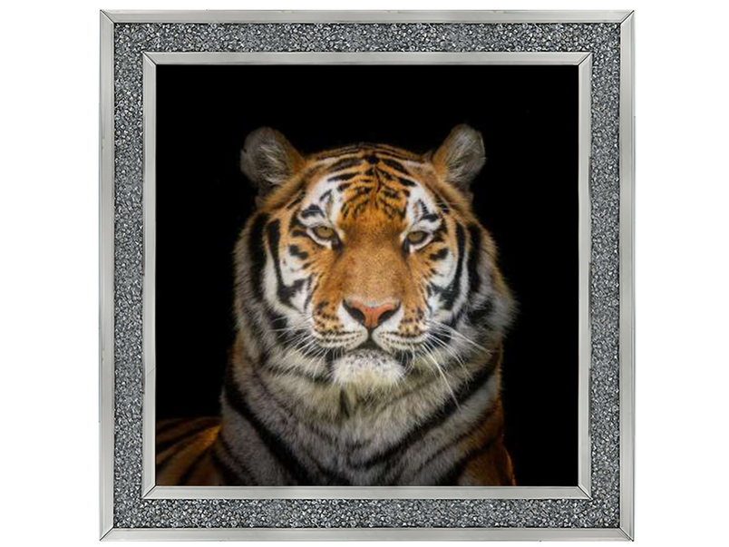 Tiger face by Assaf Frank