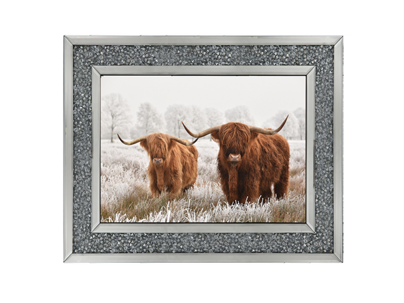 Highland Cow pair