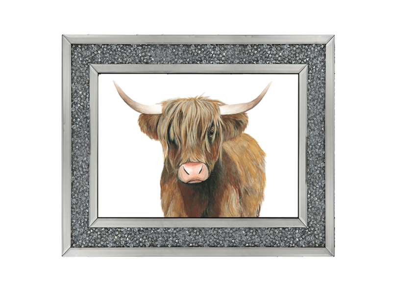 Highland Cattle II