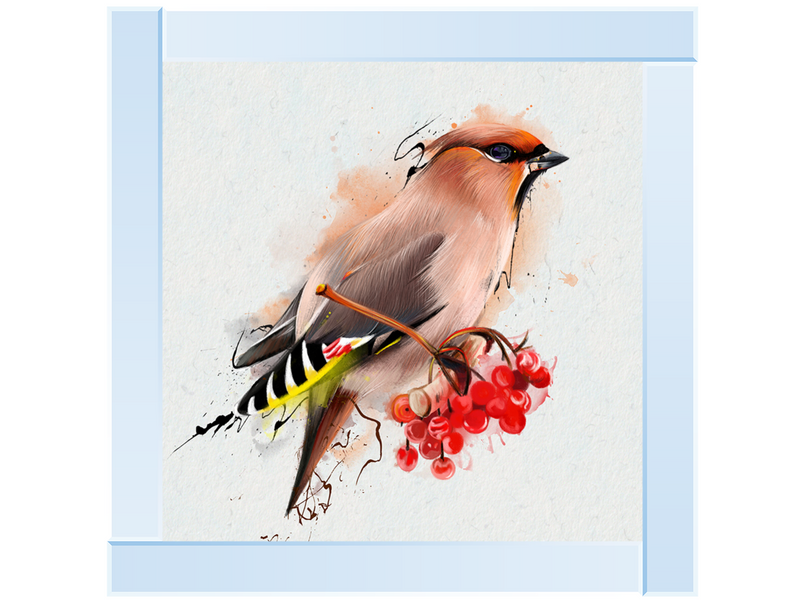 The Waxwing, a songbird of passerine.