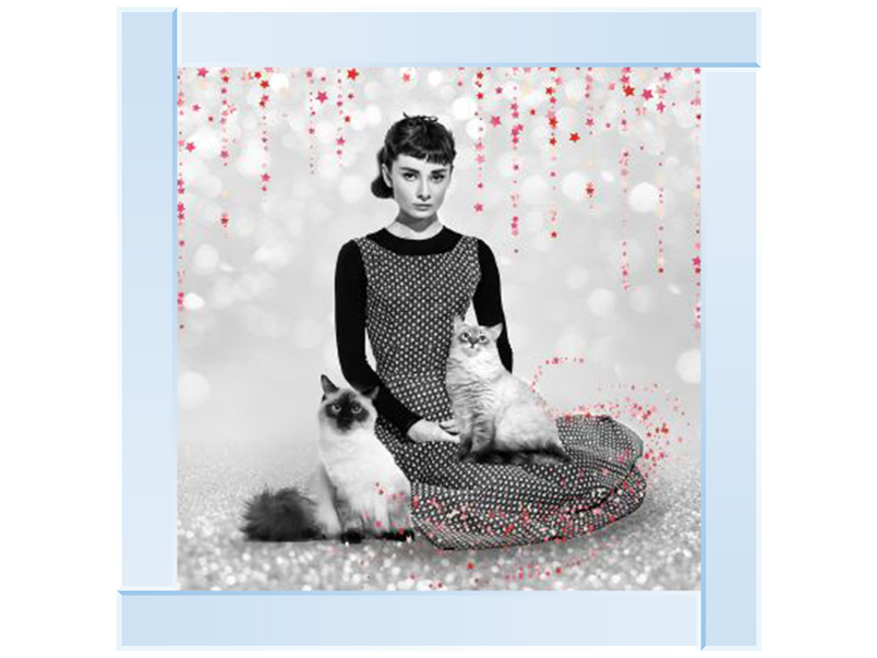 Audrey and cats