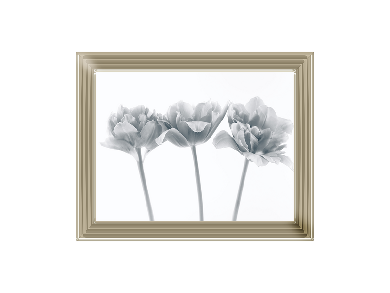 Set of 3 flowers II