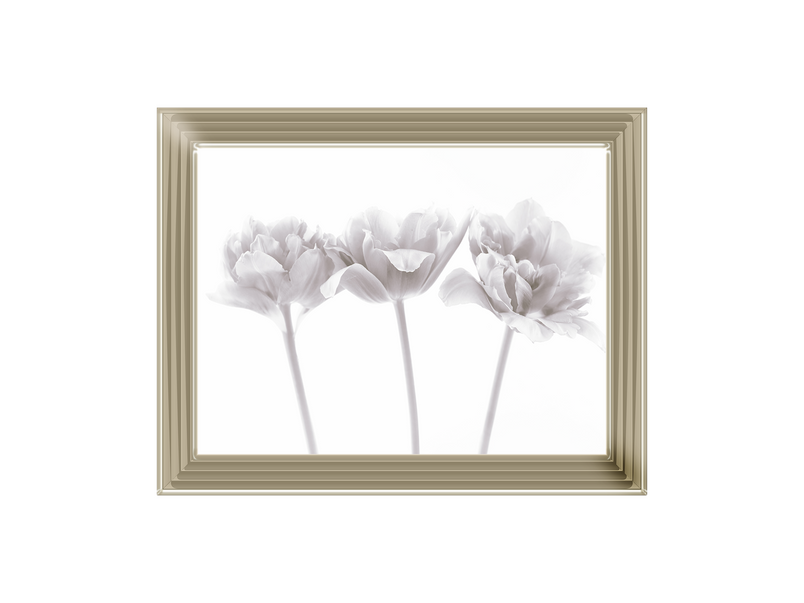 Set of 3 flowers