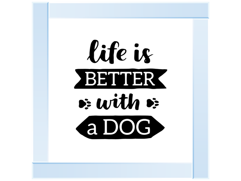 Life is better with a dog