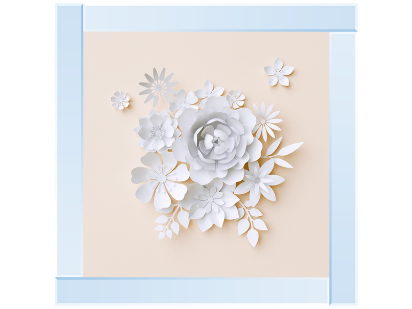 3D White Paper Flowers