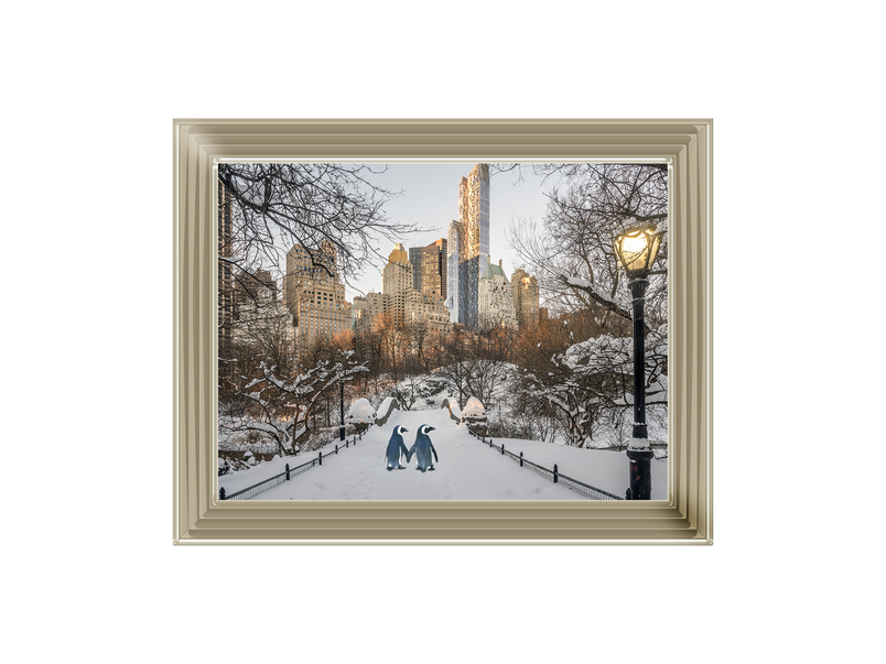 Penguin Walk