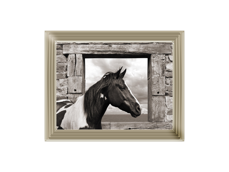 Painted Horse (BW)