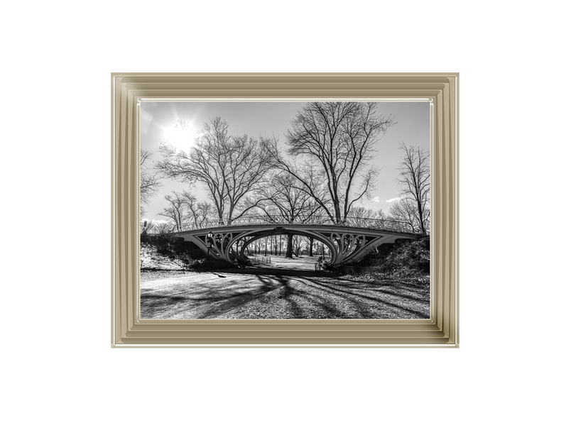 Walkway bridge in Central park, New York