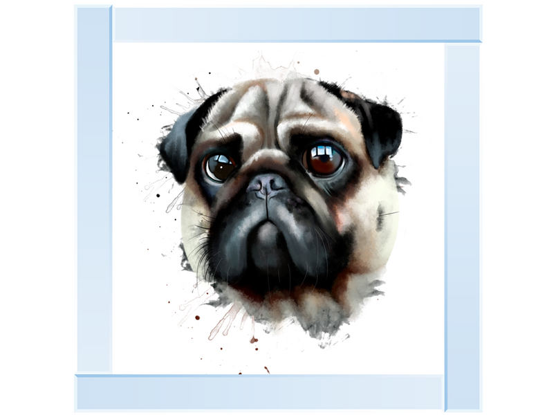 Portrait of a pug dog watercolor illustration