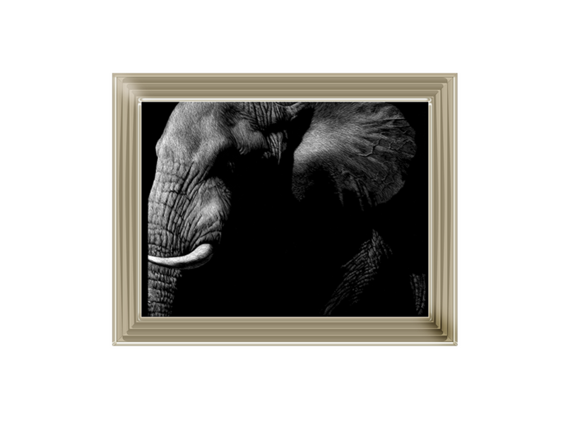 Wildlife Scratchboards III