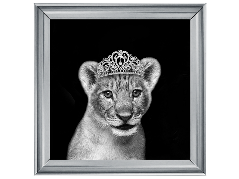 Princess Cub Silver