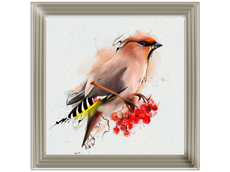 The Waxwing, a songbird of passerine.