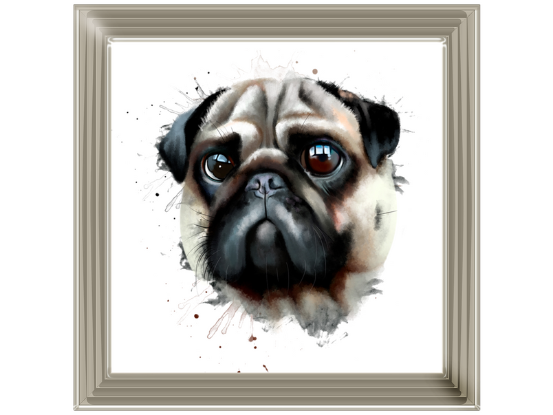 Portrait of a pug dog watercolor illustration