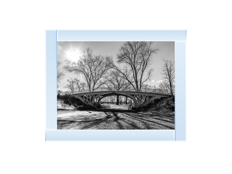 Walkway bridge in Central park, New York