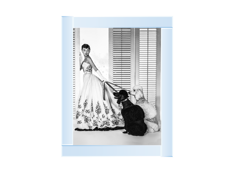 Audrey Hepburn Poodles