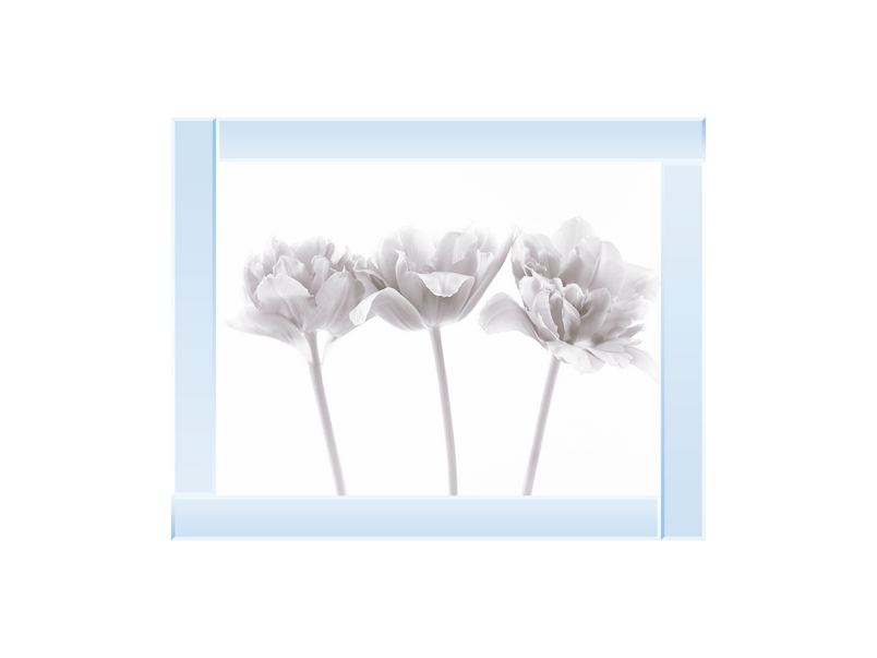 Set of 3 flowers