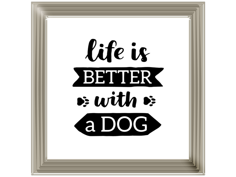 Life is better with a dog