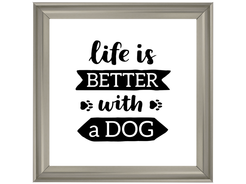 Life is better with a dog