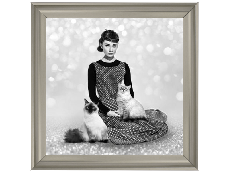 Audrey and cats II