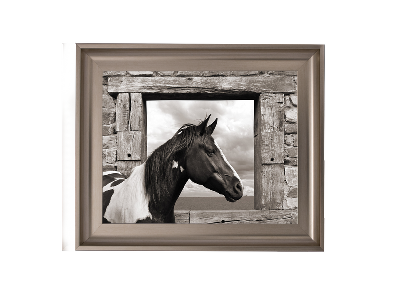 Painted Horse (BW)