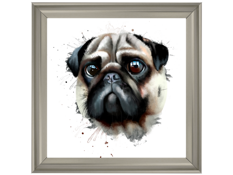 Portrait of a pug dog watercolor illustration